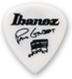 Ibanez 1000PGWH Paul Gilbert Pick медиатор thumbnail 2